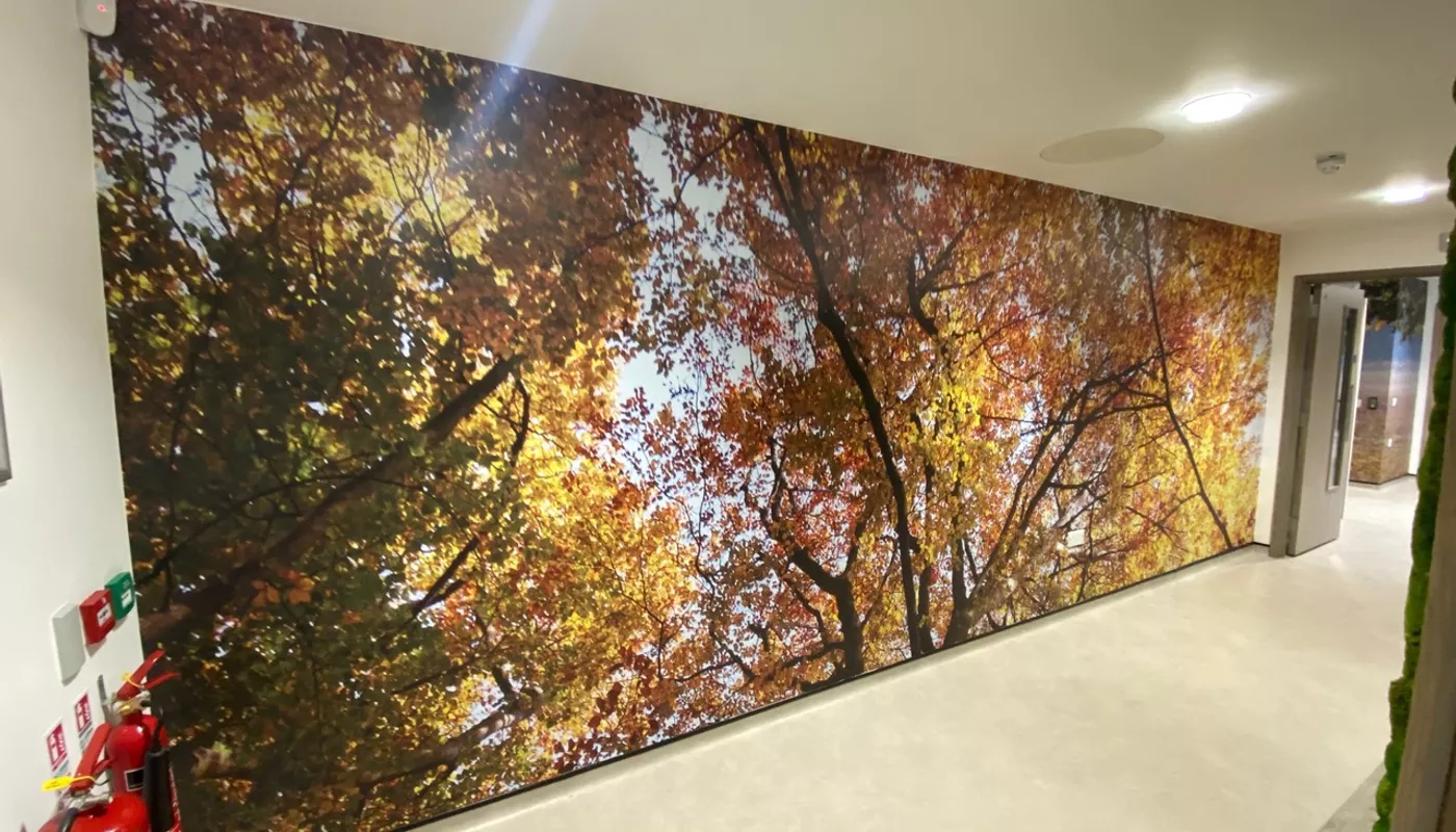 GenesisCare wallcovering image
